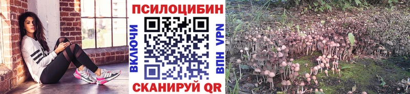 гидра ссылка  Пенза  Галлюциногенные грибы GOLDEN TEACHER 