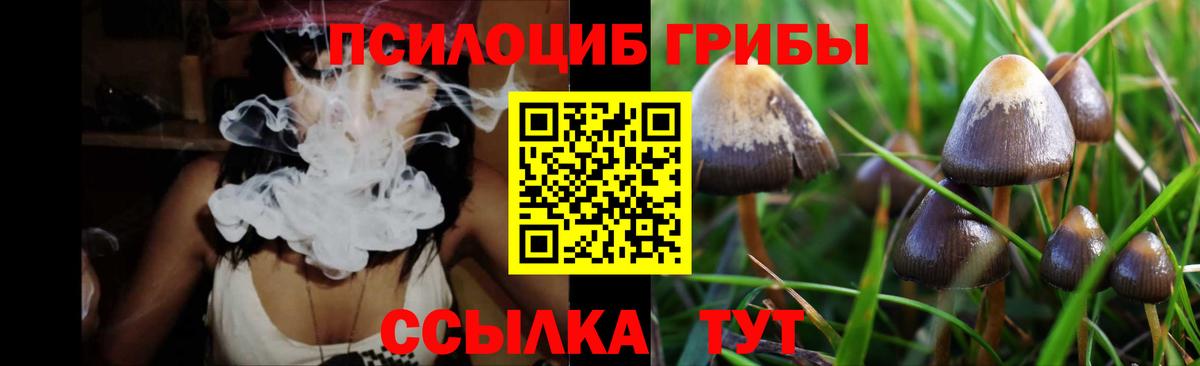 Галлюциногенные грибы Psilocybe  Вход с VPN  Пенза 